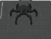 Matriarch_V1 Single Color