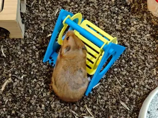 仓鼠秋千（仓鼠玩具）
