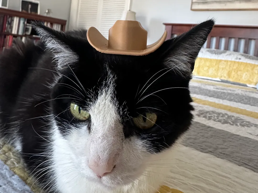 Chapeau de cowboy pour chat