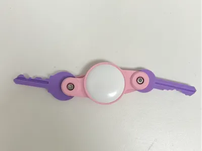 Minimalist key holder with Airtag