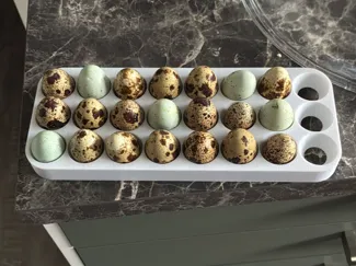 Wachteleierhalter für den Kühlschrank (24 Eier)
