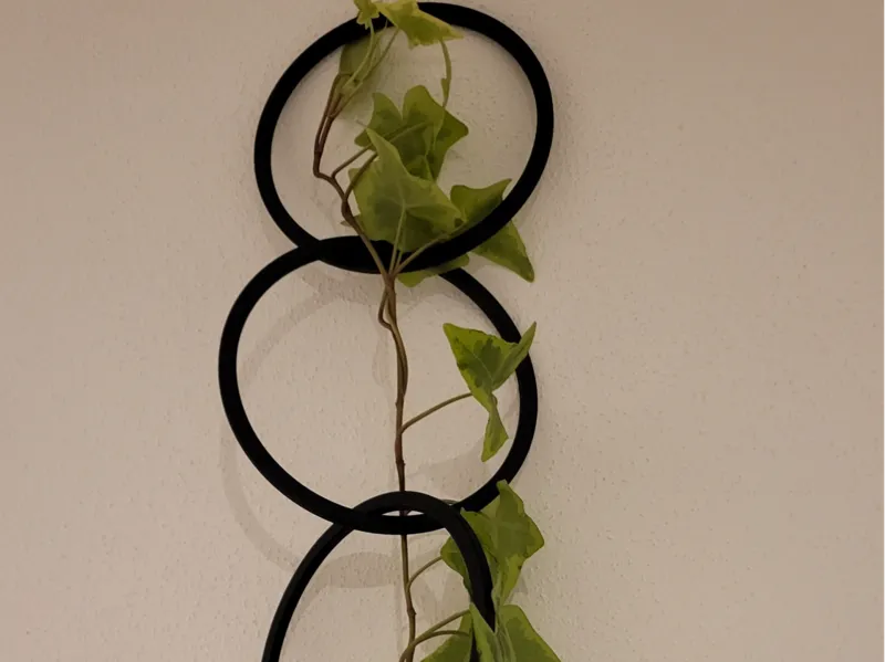Chain plants support, trellis, V2