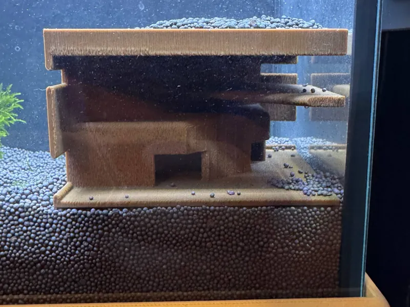 Shrimp house