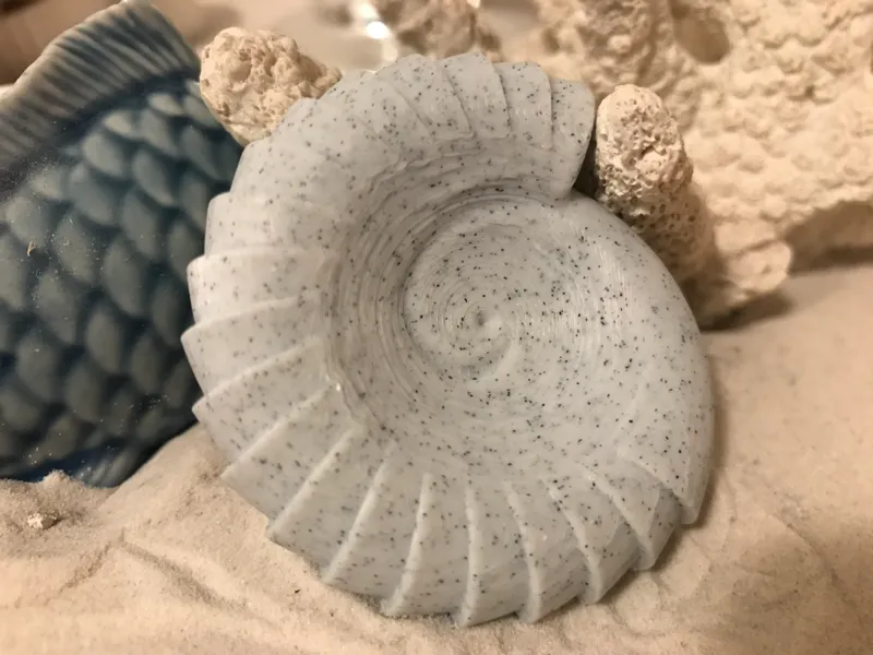 Golden Ratio Fossil (Ammonite)