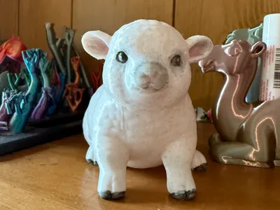 babydoll sheep 