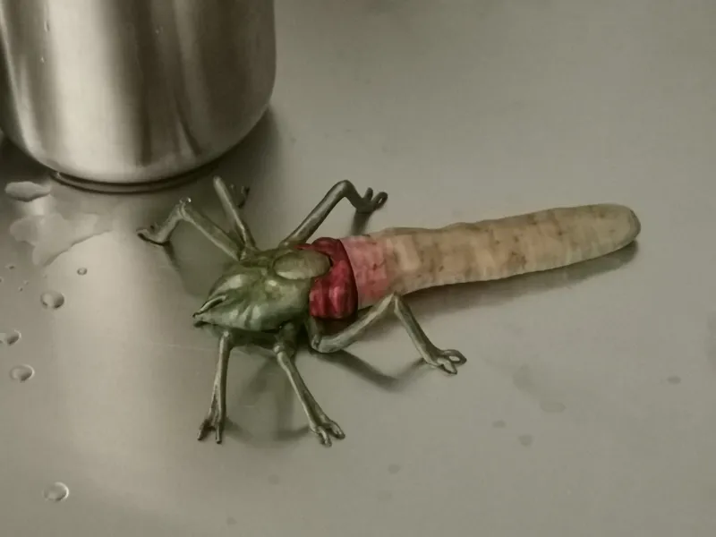 Species 19 "Alien Tick"