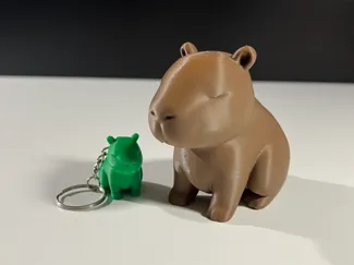 Cute Capybara
