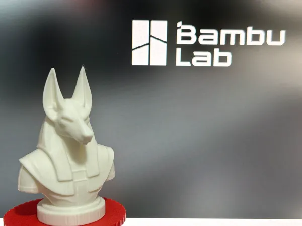 https://makerworld.bblmw.com/makerworld/model/US33c7de2c93df54/design/2024-11-23_c538de7551e05.jpg