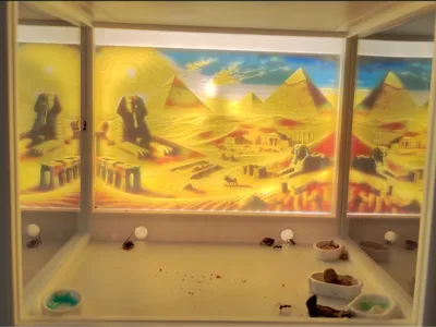 Ant Hunting Ground with Illuminated Base