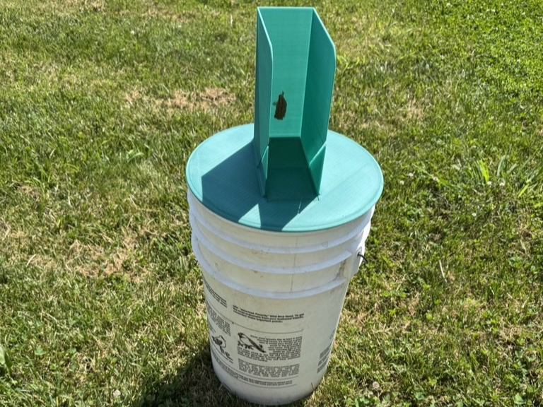 A Better (No-Kill) Mousetrap