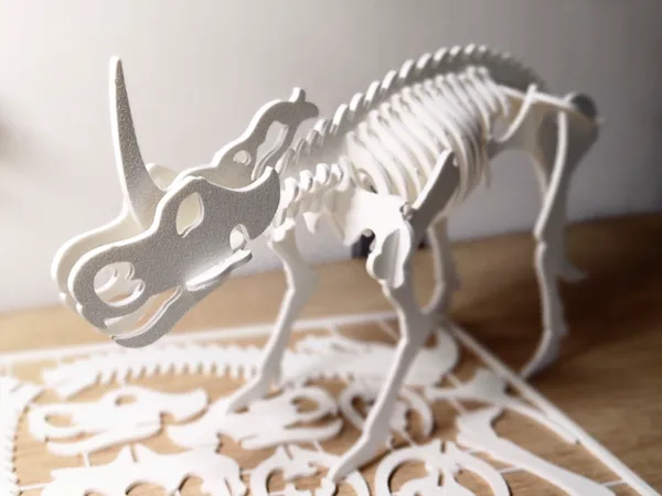 https://makerworld.bblmw.com/makerworld/model/US33d36d20343ad6/design/2025-08-03_e3b2c864c0f2f8.jpg