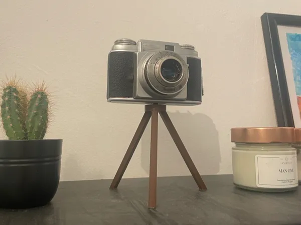https://makerworld.bblmw.com/makerworld/model/US33d5e185496bda/design/2025-03-20_987cb2ae85f87.jpg