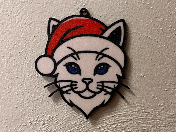 https://makerworld.bblmw.com/makerworld/model/US33dc164252277d/design/2025-01-06_bb8e0e0f5d915.jpeg