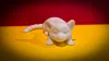 0.2mm layer, 6 walls, 8% infill