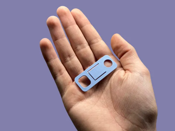 https://makerworld.bblmw.com/makerworld/model/US33e5fcfb97e455/design/2025-11-24_24049144bf0368.png