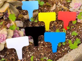 Plant Tag