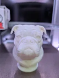 Buste de bouledogue anglais — photo 3