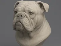 Buste de bouledogue anglais — photo 1
