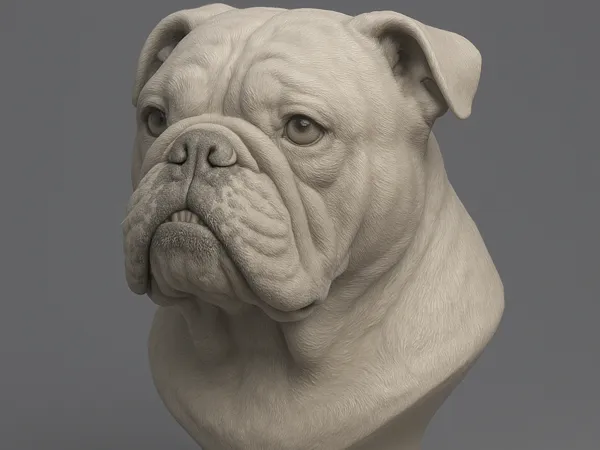 Buste de bouledogue anglais