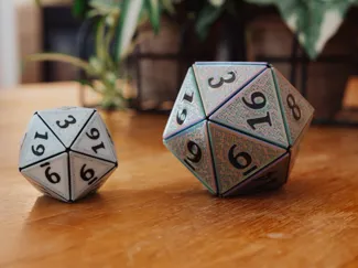 20 Sided Die D20