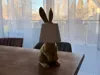 Hase