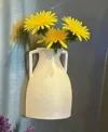 Two handle Vase