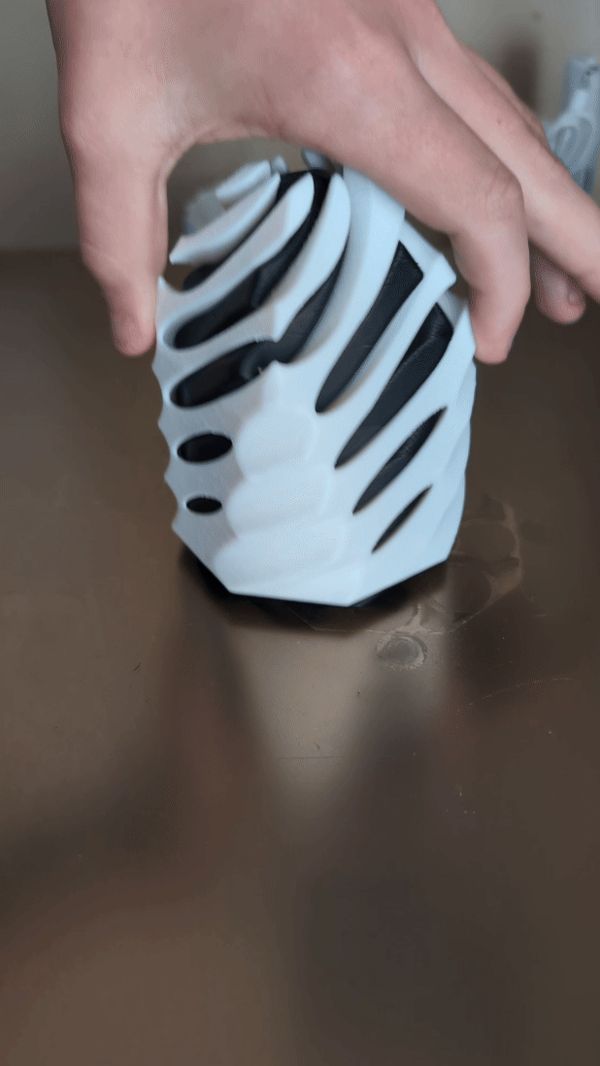 https://makerworld.bblmw.com/makerworld/model/US33ec1edeed2832/design/2025-02-15_3faf9e0bd7ae7.gif