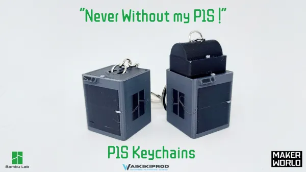 https://makerworld.bblmw.com/makerworld/model/US33f2b694665e00/design/2023-09-12_e529abc4a6537.png