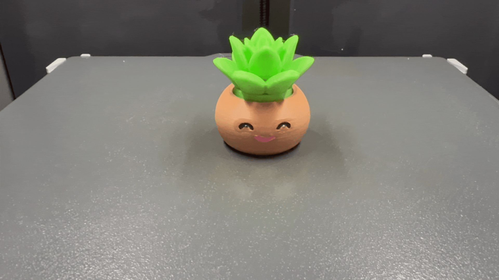 Kawaii Chibi Succulent Plant Fidget Clicker