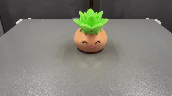 https://makerworld.bblmw.com/makerworld/model/US33f835fe6ab641/design/88f32e331ca2483c.gif