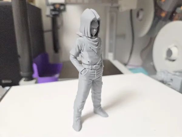 https://makerworld.bblmw.com/makerworld/model/US33f903af69ea7e/design/7f2e06198b098172.jpg