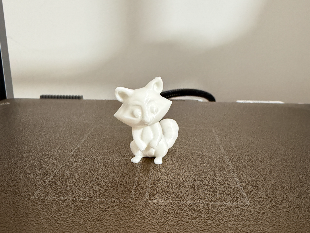 Cute mini racoon
