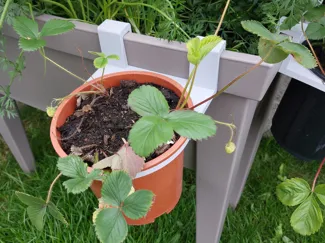 Garden Pot Holder for Raised Planter