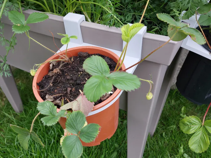Garden Pot Holder for Raised Planter