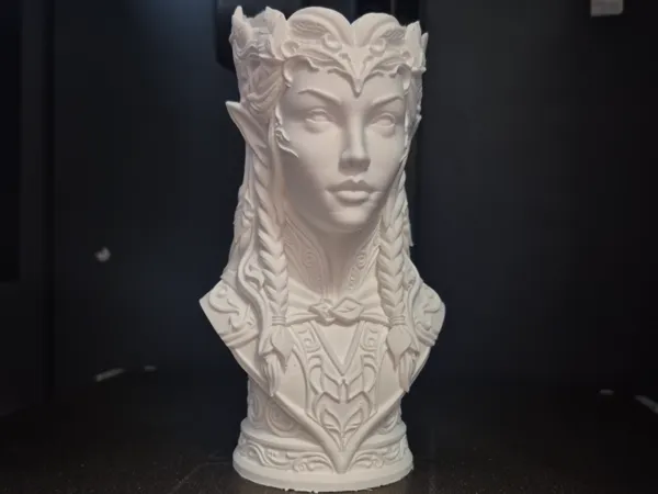 https://makerworld.bblmw.com/makerworld/model/US33fd010b6dd8f7/design/85d2ccb2c3a746ec.jpg