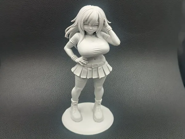 https://makerworld.bblmw.com/makerworld/model/US33fe25f8ebdbe5/design/2025-12-11_82acbda208643.jpg