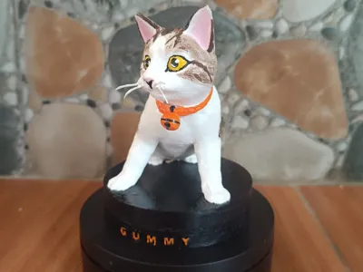 GUMMY SI KUCING
