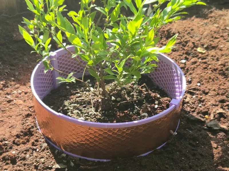 Flexible Anti-Slug Plant Protector