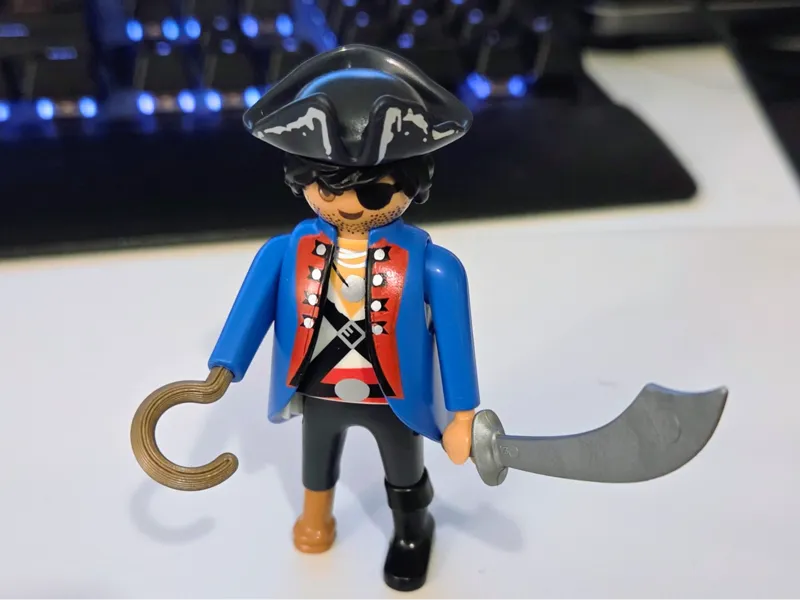 PLAYMOBIL Pirate Hook