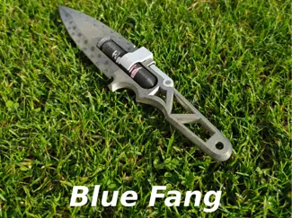 Cyberpunk - Blue Fang