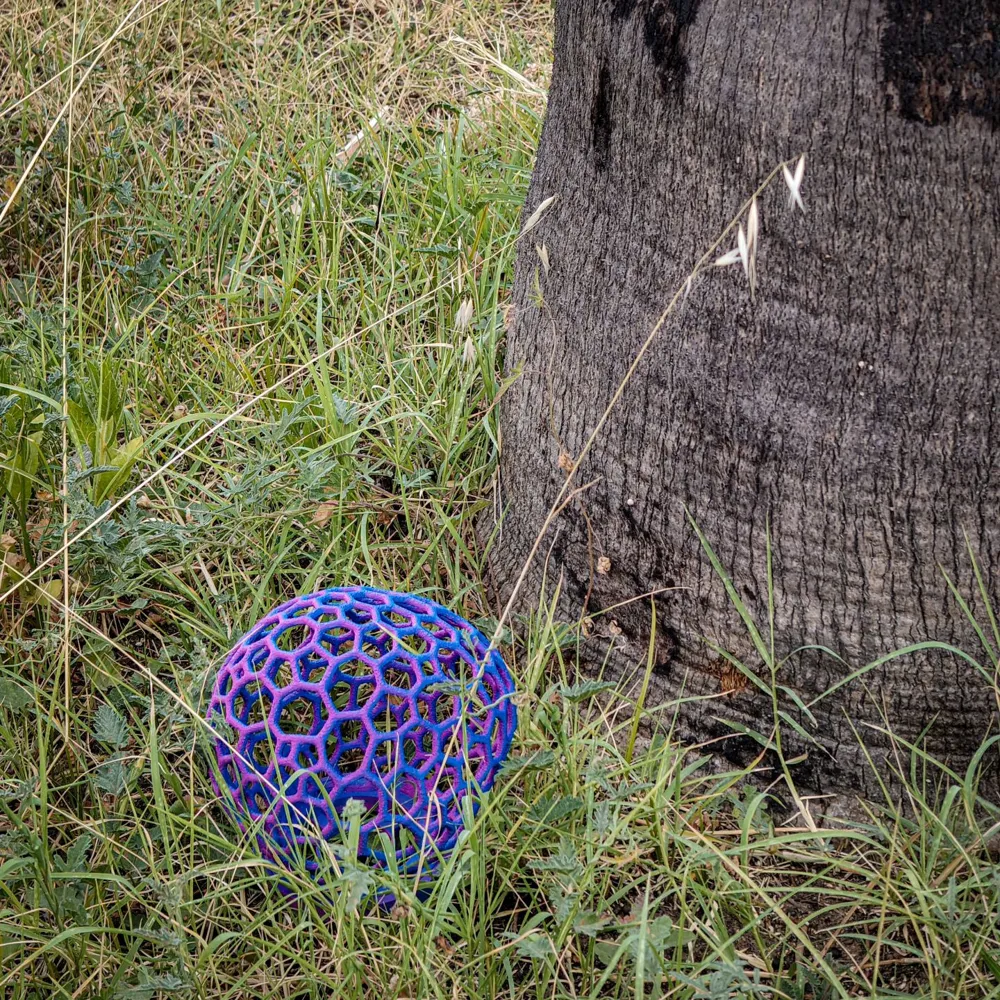 Fungi Lamp.01.Clathrus caeruleus by Dedalo 3D - MakerWorld