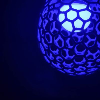 Fungi Lamp.01.Clathrus caeruleus by Dedalo 3D - MakerWorld