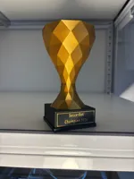 SoccerBot Champion
