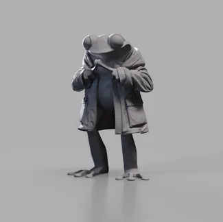Rain Coat Frog