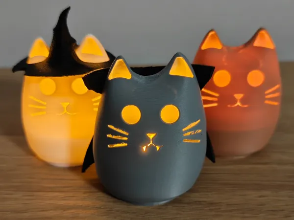 https://makerworld.bblmw.com/makerworld/model/US3404121078e06d/design/2025-10-14_910445d5173708.jpg
