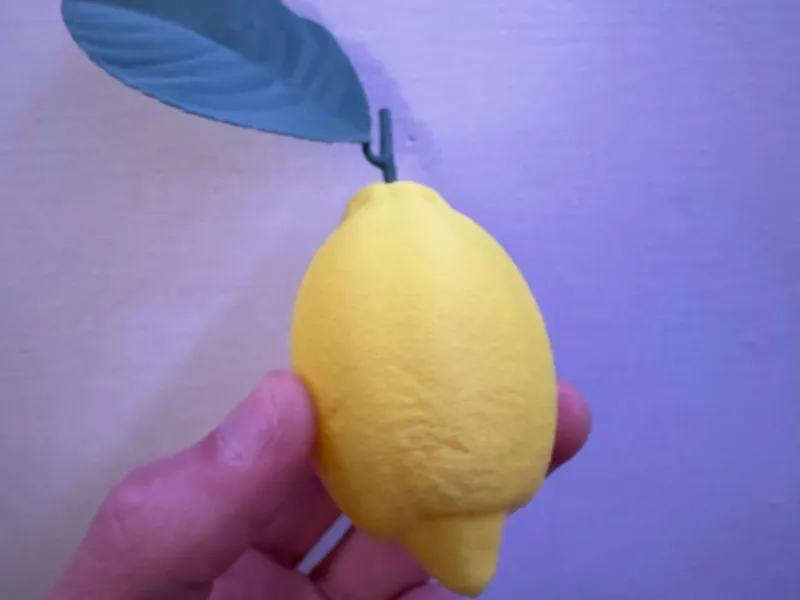 Limone di Sorrento Realistico - Con ramo e foglia
