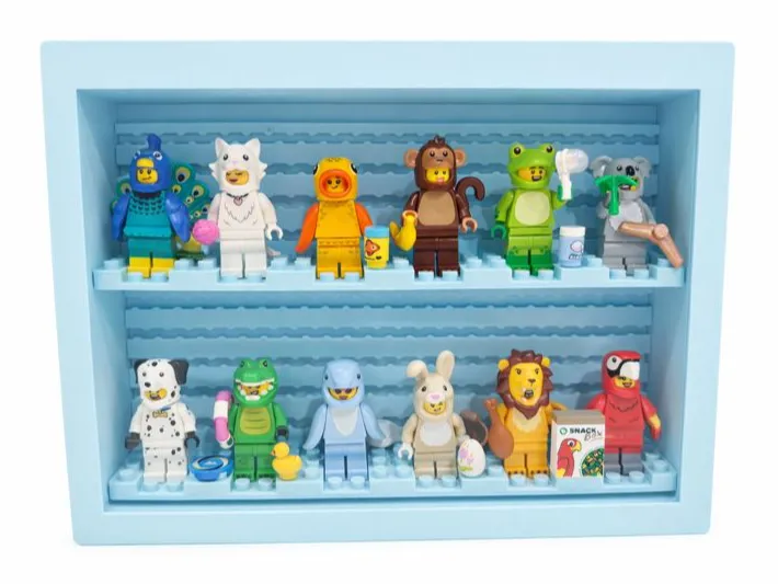 Enclosed minifig display case