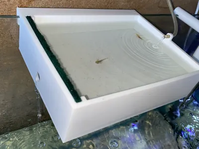 Fish Breeder box