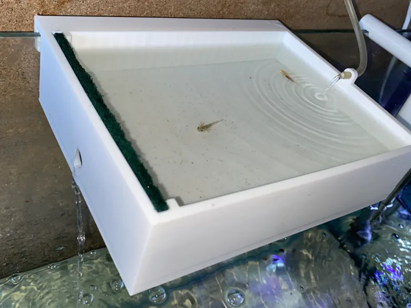 Fish Breeder box