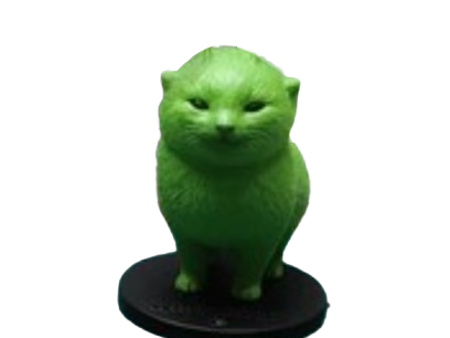 圆头猫